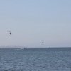 Marsala_2012 (305)